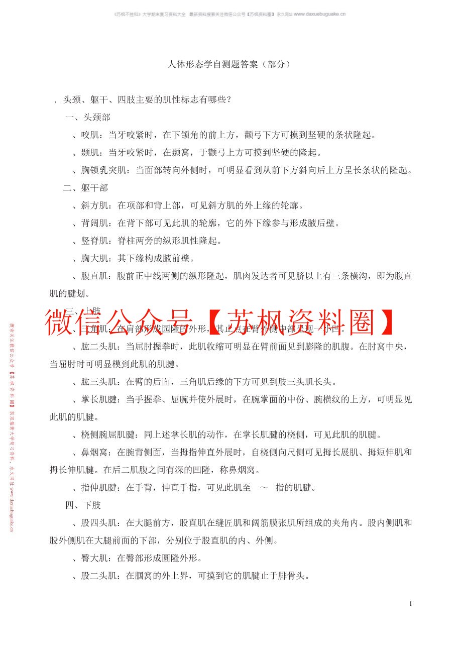 人体形态学(更新)